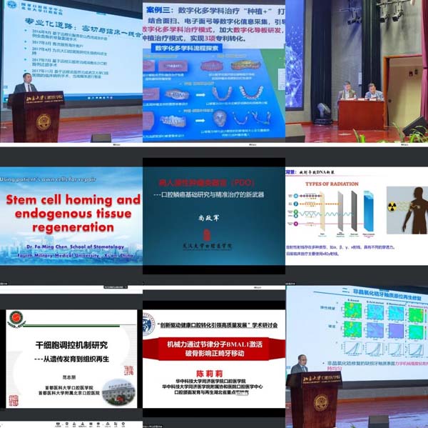 图片9.jpg