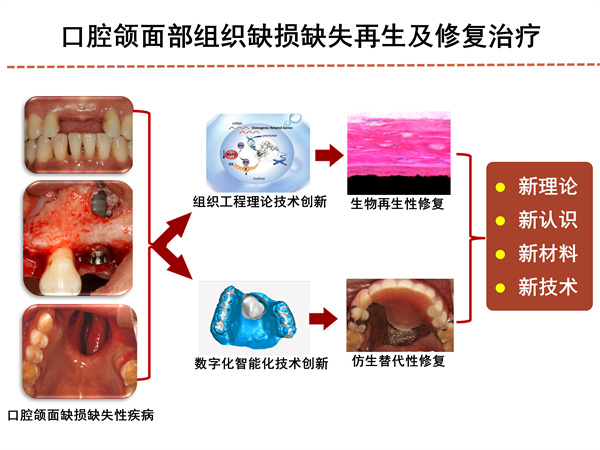 PPT图片.jpg